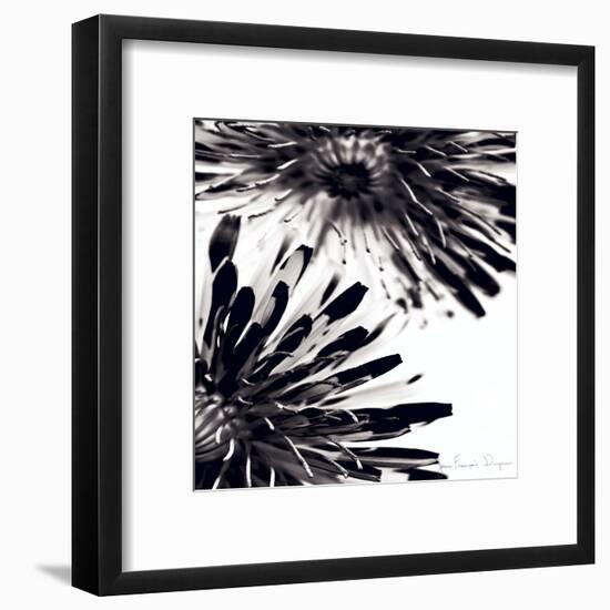 Contrastoflora II-Jean-François Dupuis-Framed Art Print