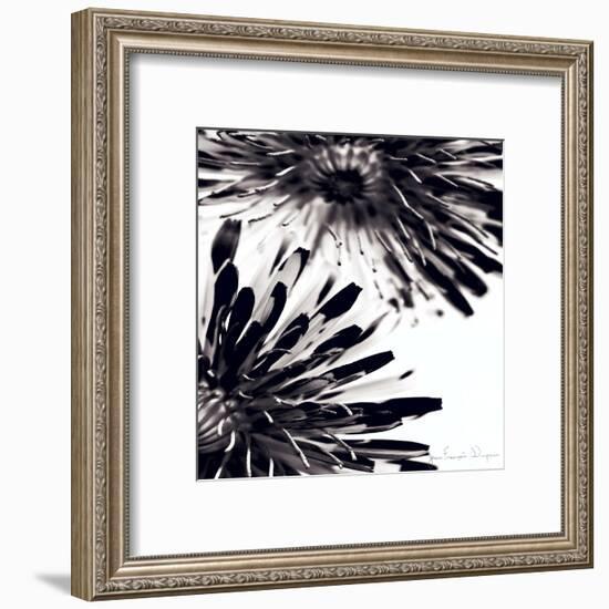 Contrastoflora II-Jean-François Dupuis-Framed Art Print