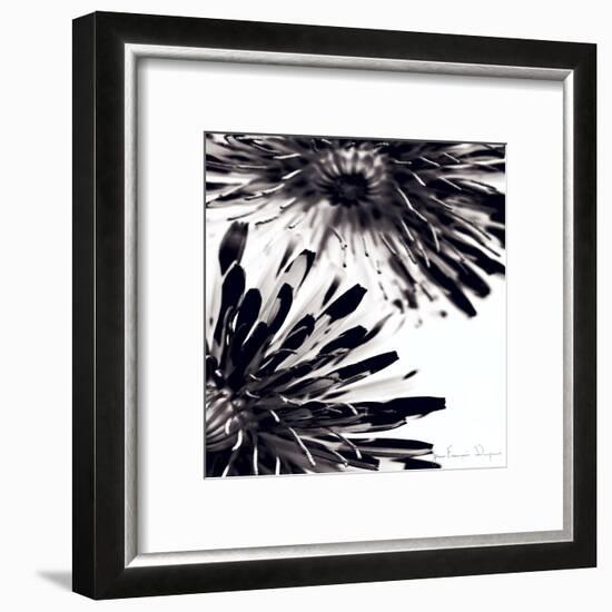 Contrastoflora II-Jean-François Dupuis-Framed Art Print