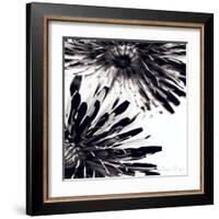 Contrastoflora II-Jean-François Dupuis-Framed Art Print