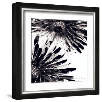 Contrastoflora II-Jean-François Dupuis-Framed Art Print