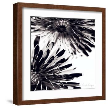 Contrastoflora II-Jean-François Dupuis-Framed Art Print