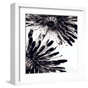 Contrastoflora II-Jean-François Dupuis-Framed Art Print