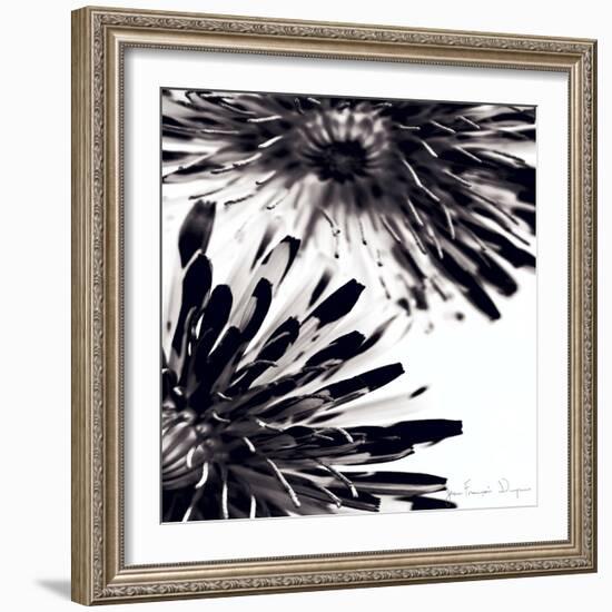 Contrastoflora II-Jean-François Dupuis-Framed Art Print