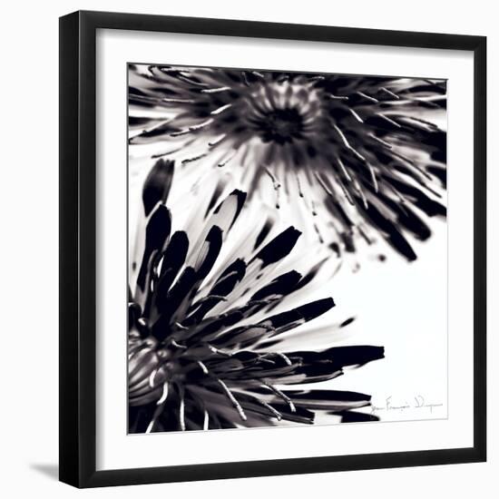 Contrastoflora II-Jean-François Dupuis-Framed Art Print