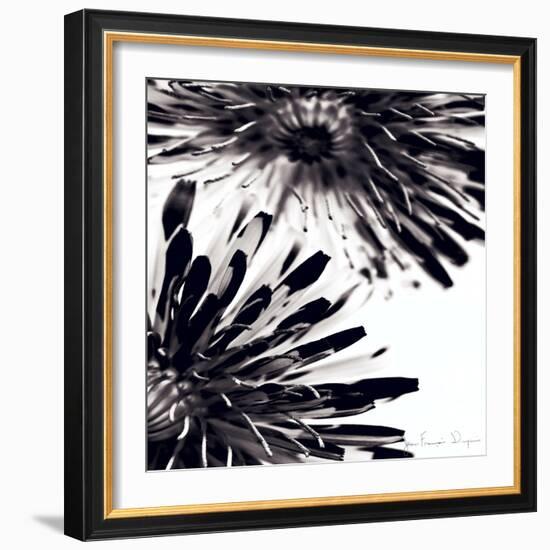 Contrastoflora II-Jean-François Dupuis-Framed Art Print