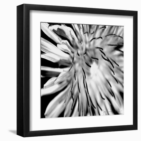 Contrastoflora III-Jean-François Dupuis-Framed Art Print