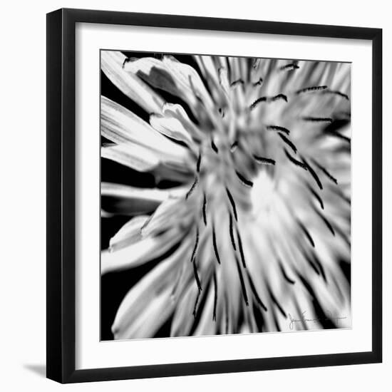 Contrastoflora III-Jean-François Dupuis-Framed Art Print