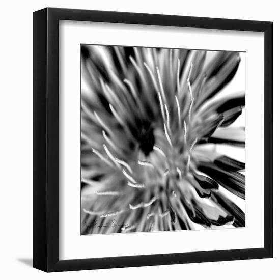 Contrastoflora IV-Jean-François Dupuis-Framed Art Print