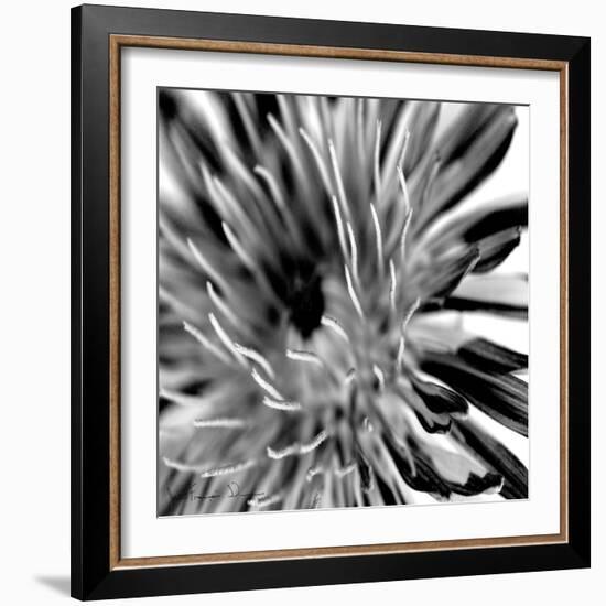 Contrastoflora IV-Jean-François Dupuis-Framed Art Print