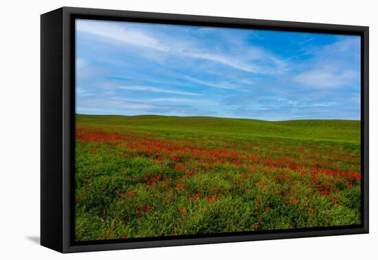 Contrasts-Marco Carmassi-Framed Premier Image Canvas