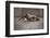 Contre Jour-Ross Oscar-Framed Photographic Print