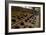 Control Station-Nathan Wright-Framed Photographic Print