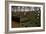 Controls in a Power Station-Nathan Wright-Framed Photographic Print