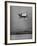 Convair's Pogo Plane-First Public Flight-J^ R^ Eyerman-Framed Photographic Print