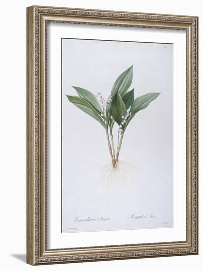 Convallaria Majalis (Lily of the Valley), 1808-Pierre Joseph Redoute-Framed Giclee Print