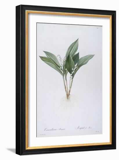 Convallaria Majalis (Lily of the Valley), 1808-Pierre Joseph Redoute-Framed Giclee Print