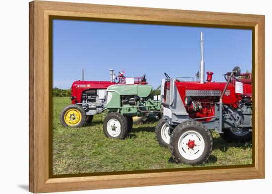 Convention for Classic Tractors, PfaffstŠtten, Lower Austria, Austria, Europe-Gerhard Wild-Framed Premier Image Canvas