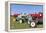 Convention for Classic Tractors, PfaffstŠtten, Lower Austria, Austria, Europe-Gerhard Wild-Framed Premier Image Canvas