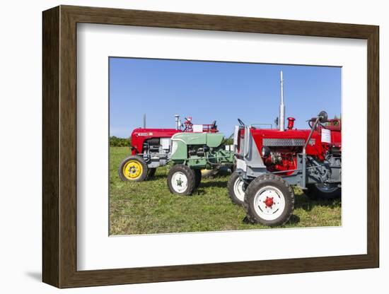 Convention for Classic Tractors, PfaffstŠtten, Lower Austria, Austria, Europe-Gerhard Wild-Framed Photographic Print