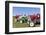 Convention for Classic Tractors, PfaffstŠtten, Lower Austria, Austria, Europe-Gerhard Wild-Framed Photographic Print