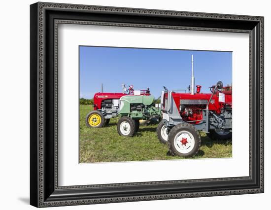 Convention for Classic Tractors, PfaffstŠtten, Lower Austria, Austria, Europe-Gerhard Wild-Framed Photographic Print