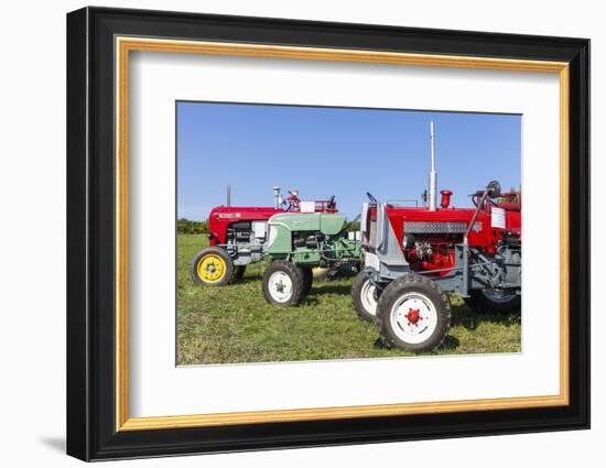 Convention for Classic Tractors, PfaffstŠtten, Lower Austria, Austria, Europe-Gerhard Wild-Framed Photographic Print