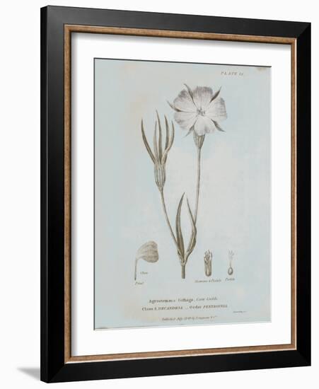 Conversations on Botany III Blue-Wild Apple Portfolio-Framed Art Print