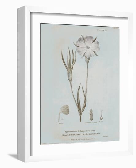 Conversations on Botany III Blue-Wild Apple Portfolio-Framed Art Print