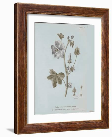Conversations on Botany VII Blue-Wild Apple Portfolio-Framed Art Print