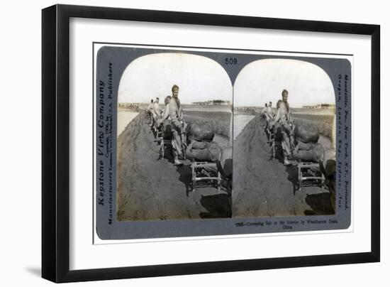 Conveying Salt to the Interior by Wheelbarrow Train, China, 1906-null-Framed Giclee Print