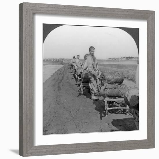 Conveying Salt to the Interior by Wheelbarrow Train, China, 1907-null-Framed Photographic Print