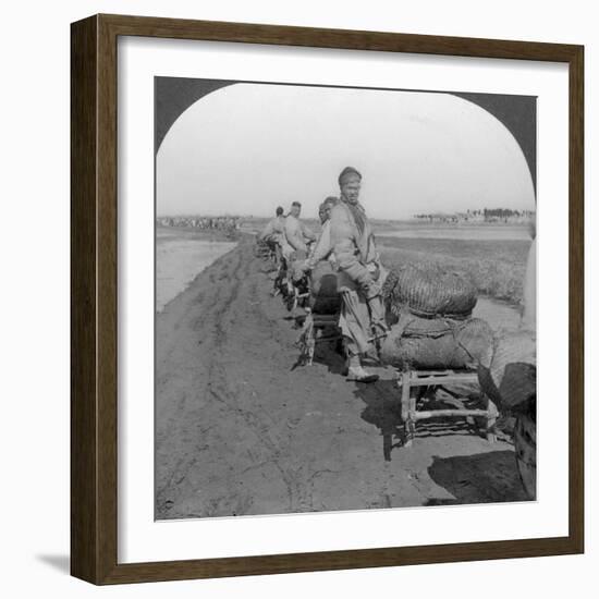 Conveying Salt to the Interior by Wheelbarrow Train, China, 1907-null-Framed Photographic Print