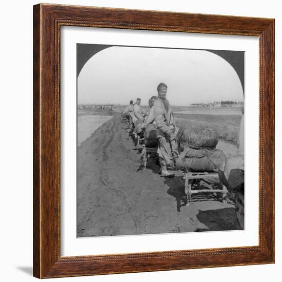 Conveying Salt to the Interior by Wheelbarrow Train, China, 1907-null-Framed Photographic Print