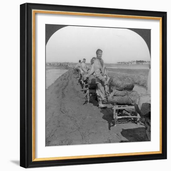 Conveying Salt to the Interior by Wheelbarrow Train, China, 1907-null-Framed Photographic Print