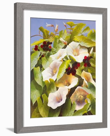 Convolvulus and Blackberries-Mary Dipnall-Framed Giclee Print