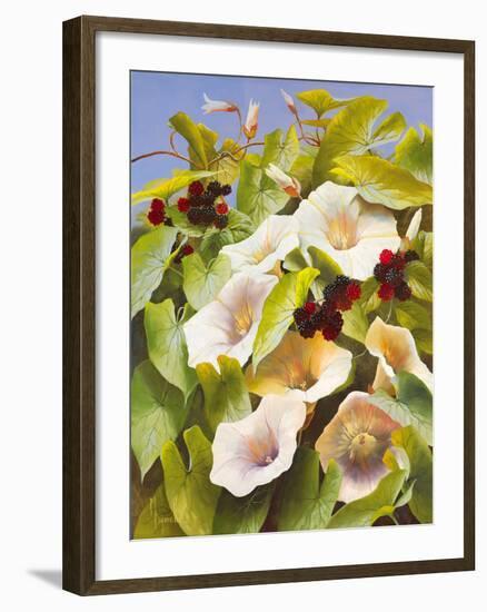 Convolvulus and Blackberries-Mary Dipnall-Framed Giclee Print