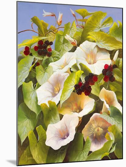 Convolvulus and Blackberries-Mary Dipnall-Mounted Giclee Print