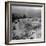 Convoy Cleaning a Block on the Ledo Road Between Hell Gate and Loglai, Burma, July 1944-Bernard Hoffman-Framed Photographic Print