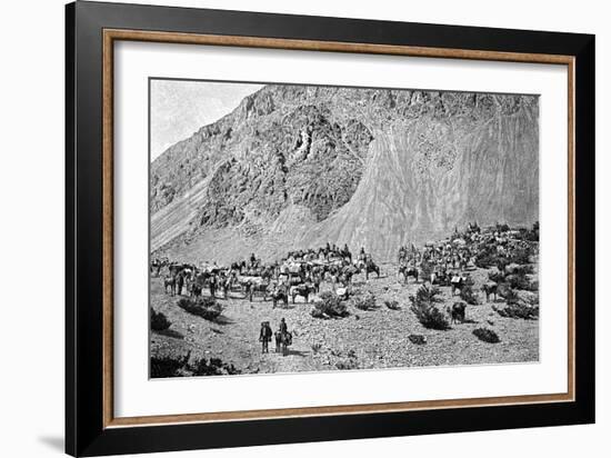 Convoy of Muleteers at the Foot of the Cordillera, South America, 1895-null-Framed Giclee Print