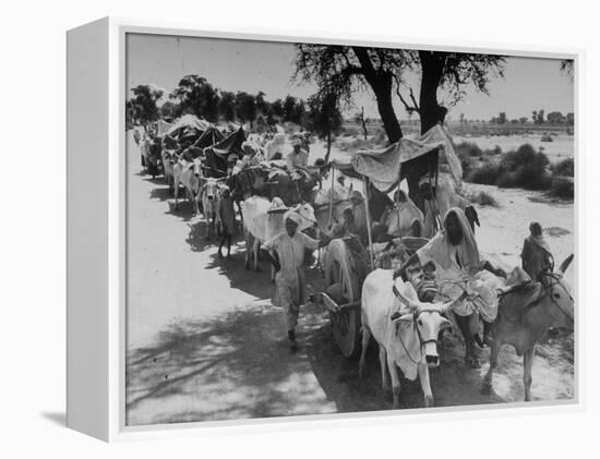 Convoy of Muslims Migrating from the Sikh State of Faridkot after the Division of India-Margaret Bourke-White-Framed Premier Image Canvas