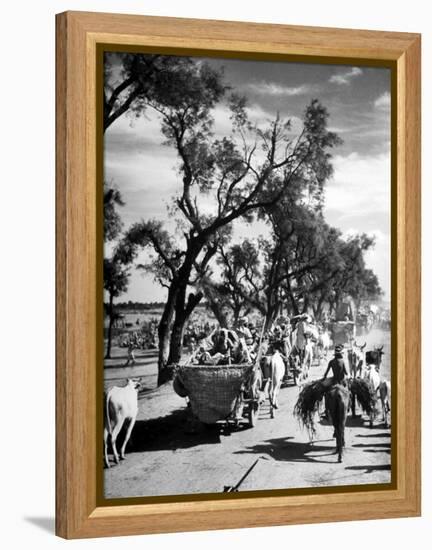 Convoy of Sikhs Migrating to East Punjab After the Division of India-Margaret Bourke-White-Framed Premier Image Canvas