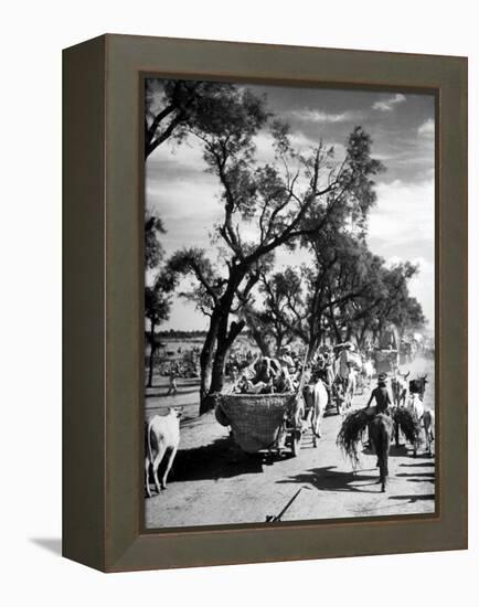 Convoy of Sikhs Migrating to East Punjab After the Division of India-Margaret Bourke-White-Framed Premier Image Canvas