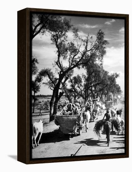 Convoy of Sikhs Migrating to East Punjab After the Division of India-Margaret Bourke-White-Framed Premier Image Canvas