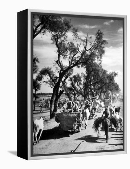 Convoy of Sikhs Migrating to East Punjab After the Division of India-Margaret Bourke-White-Framed Premier Image Canvas