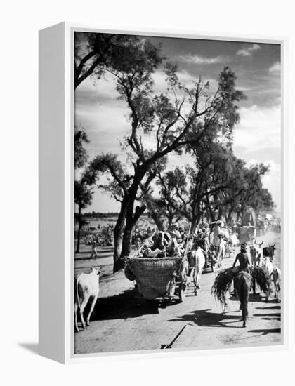 Convoy of Sikhs Migrating to East Punjab After the Division of India-Margaret Bourke-White-Framed Premier Image Canvas