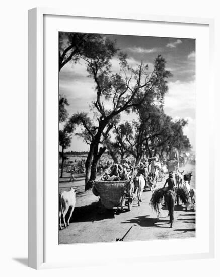 Convoy of Sikhs Migrating to East Punjab After the Division of India-Margaret Bourke-White-Framed Photographic Print