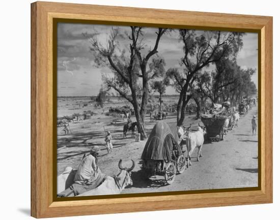 Convoy of Sikhs Migrating to East Punjab After the Division of India-Margaret Bourke-White-Framed Premier Image Canvas