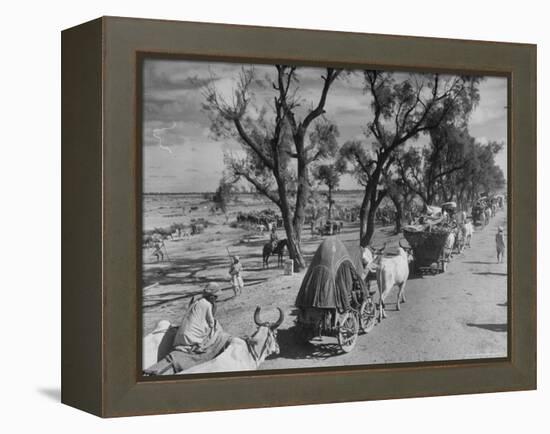 Convoy of Sikhs Migrating to East Punjab After the Division of India-Margaret Bourke-White-Framed Premier Image Canvas