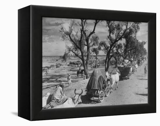 Convoy of Sikhs Migrating to East Punjab After the Division of India-Margaret Bourke-White-Framed Premier Image Canvas